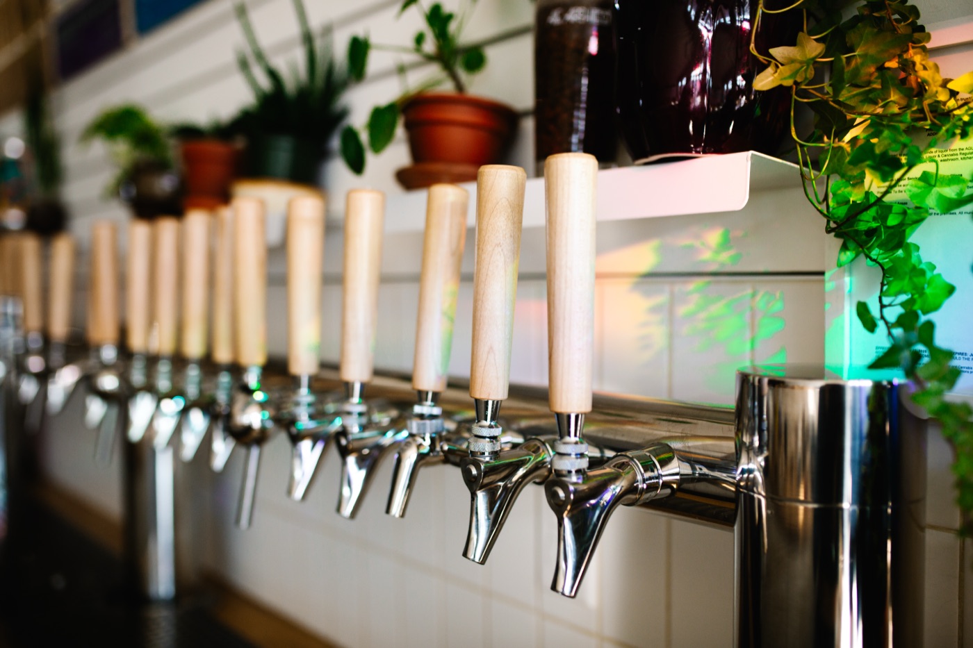 Row of taps pouring house-made drinks